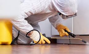 Best Pest Exclusion Services  in Painted Post, NY